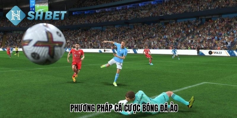 Phương pháp cá cược bóng đá ảo SHBET